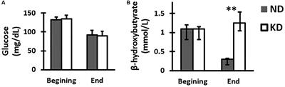 Ketogenic Diet Provided During Three Months Increases KCC2 Expression but Not NKCC1 in the Rat Dentate Gyrus